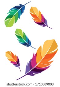 Set of abstract bright transparent feathers on white background.