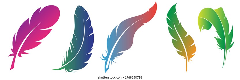 Set abstrakter, helltransparenter Federn auf weißem Hintergrund.
