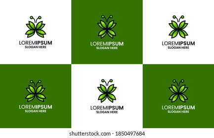 set of abstract butterfly with nature leaf concept