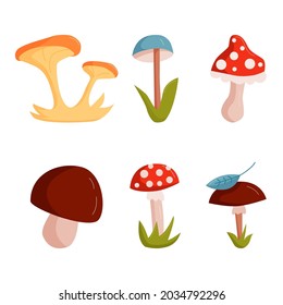 Set of abstract cartoon forest mushrooms. Summer or autumn design elements for cards, posters, t shirt print etc. Cartoon vector illustration isolated on white background. 