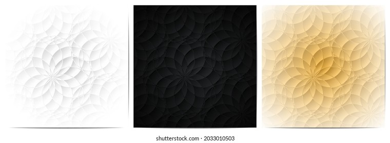  Conjunto de líneas de círculo abstractas de patrón floral. Lujo con un diseño de fondo negro, blanco y dorado

