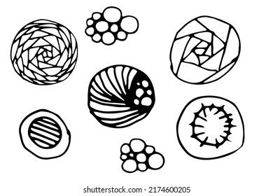 A set of abstract circles. A simple initial logo design for a business or brand. Elegant logo template Minimal symbol. The icon of the vector black line. Vector illustration of the logo.