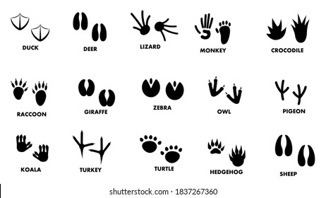 Set Abstract Collection Black Footprints Wild Animals Vector Design Style Illustration