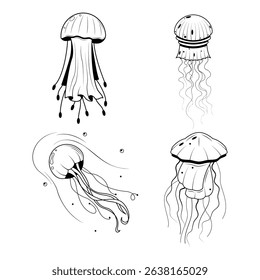 Set Abstract Collection Black Simple Line Jellyfish Doodle Outline Element Vector Design Style Sketch Isolated On White Background Illustration Nature Ocean WIldlife