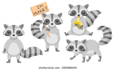 Set Abstract Collection Flat Cartoon 
Different Animal Raccon Eating Banana Standing With A Sign And Is Hungry Vector Design Style Elements Fauna Wildlife