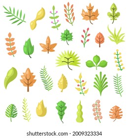Set Abstract Collection Flat Cartoon  Different Color Red Yellow Green Orange Leaf Leaves With Berries Nature Autumn Concept Vector Design Style Elements With Shadows