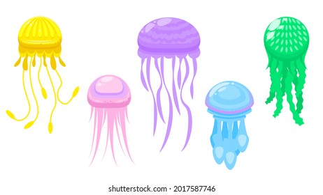 Set Abstract Collection Flat Cartoon 
Different Color Animal Jellyfish Medusa Marine Water Vector Design Style Elements Fauna Wildlife Isolated