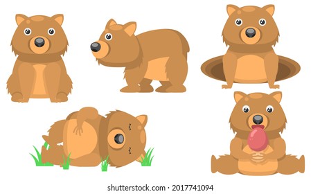 Set Abstract Collection Flat Cartoon 
Different Animal Wombat Sleep, Is Sitting, Eating Mushroom, Peeps Out Of The Hole Vector Design Style Elements Fauna Wildlife