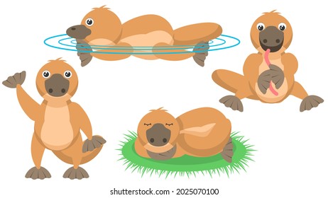 Set Abstract Collection Flat Cartoon 
Different Animal Platypus Duckbill Stand Sleep Eating Worm Swim Vector Design Style Elements Fauna Wildlife