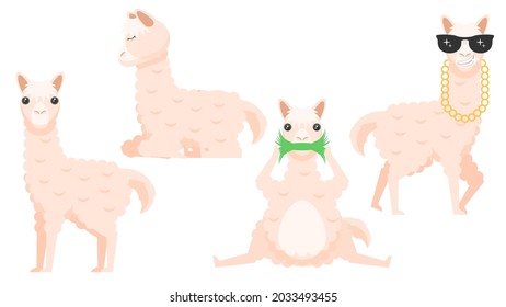 Set Abstract Collection Flat Cartoon 
Different Animal Lama Sleeping, Eating Grass, Stand With Sunglasses  Vector Design Style Elements Fauna Wildlife