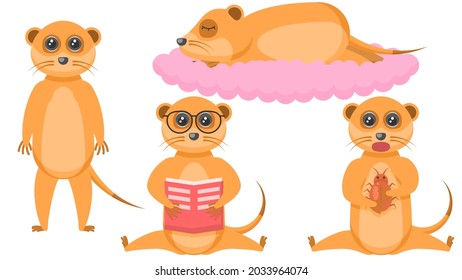 Establecer caricatura plana de colección abstracta 
Cabecera De Mercaderías De Animales Diferentes, Leer Libro, Dormir, Comer Un Vector De Escarabajos Diseño Elementos Fauna Vida Silvestre