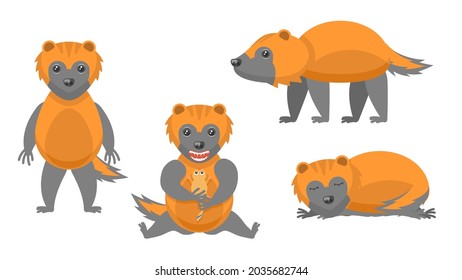 Set Abstract Collection Flat Cartoon 
Different Animal Wolverines Stand, Eating A Rodent, Sleep Vector Design Style Elements Fauna Wildlife