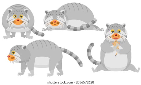 Establecer caricatura plana de colección abstracta 
Distinto soporte de gato de Manul animal, sueño, comer un vector de roedores Elementos de diseño de estilo Fauna Vida silvestre