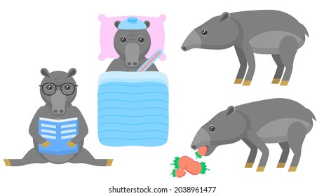 Set Abstract Collection Flat Cartoon 
Different Animal Tapirs Stand, Eating Strawberries, Reading Book, Sick In Bed With A Thermometer Vector Design Style Elements Fauna Wildlife