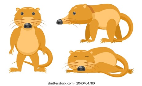 Set Abstract Collection Flat Cartoon 
Different Animal Muskrats, Desman Stand, Sleep Vector Design Style Elements Fauna Wildlife