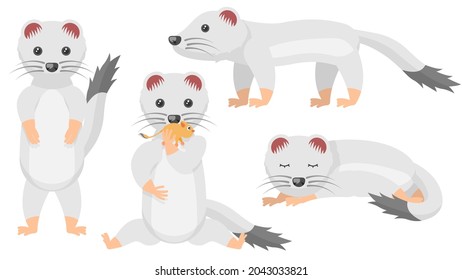 Set Abstract Collection Flat Cartoon 
Different Animal Ermines Stand, Sleep, Eating A Rodent Vector Design Style Elements Fauna Wildlife