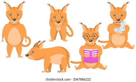 Set Abstract Collection Flat Cartoon 
Different Animal Caracals Stand, Eating A Rabbit, Reading A Book Vector Design Style Elements Fauna Wildlife