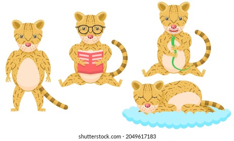 Set Abstract Collection Flat Cartoon 
Different Animal Ocelots Stand, Eating A Snake, Reading A Book, Sleeping Vector Design Style Elements Fauna Wildlife