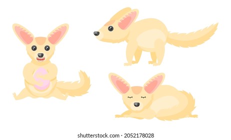 Set Abstract Collection Flat Cartoon 
Different Animal Fenech Stand, Sleeping, Eating An Egg Vector Design Style Elements Fauna Wildlife