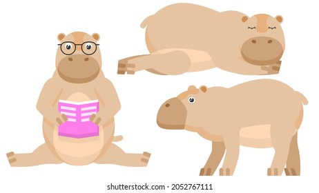 Set Abstract Collection Flat Cartoon 
Different Animal Hippopotamus Stand, Reading A Book, Sleeping Vector Design Style Elements Fauna Wildlife
