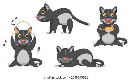 Set Abstract Collection Flat Cartoon 
Different Animal Cats Kitty Pets Stand, Eating A Rodent, Listening To Music, Sleeping Vector Design Style Elements Fauna Wildlife