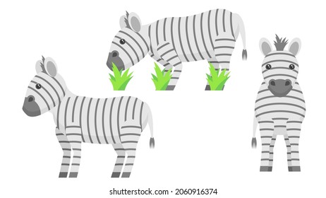 Set Abstract Collection Flat Cartoon 
Different Animal Zebras Stand, Eating Grass Vector Design Style Elements Fauna Wildlife