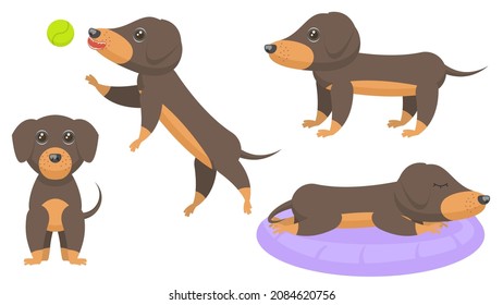Set Abstract Collection Flat Cartoon 
Different Animal Dachshunds Dogs Puppy Stand, Sleeping, Jumping For The Ball Vector Design Style Elements Fauna Wildlife