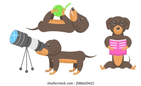 Set Abstract Collection Flat Cartoon Different Animal Dachshunds Dogs Reading Book, Playing With A Ball Of Thread, Watching The Stars Through A Telescope Vector Design Style Elements Fauna Wildlife