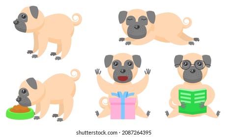 Set Abstract Collection Flat Cartoon 
Different Animal Pug Dogs Puppy Stand, Sleeping, Reading Book, Surprised By The Gift, Eating From A Bowl Vector Design Style Elements Fauna Wildlife