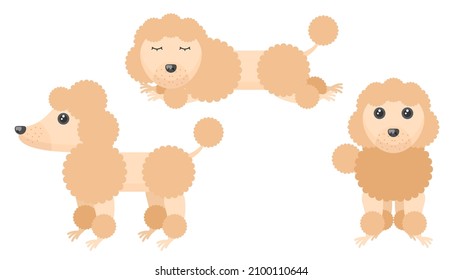 Set Abstract Collection Flat Cartoon Different Animal Pug Dogs Poodles Stand, Spleeping Vector Design Style Elements Fauna Wildlife