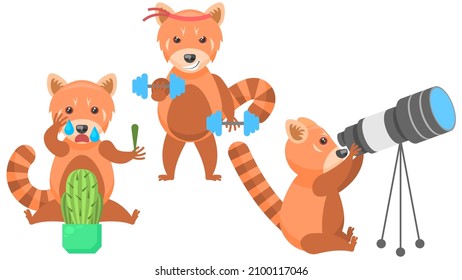 Set Abstract Collection Flat Cartoon Different Animal Red Pandas Pricked By A Cactus And Crying, Goes In For Sports With Dumbbells, Looking Through A Telescope Vector Design Style Elements Fauna Wild