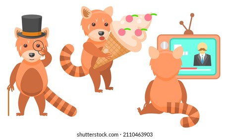 Set Abstract Collection Flat Cartoon Different Animal Red Pandas In A Top Hat And With A Cane, With Huge Ice Cream, Watching TV Vector Design Style Elements Fauna Wild