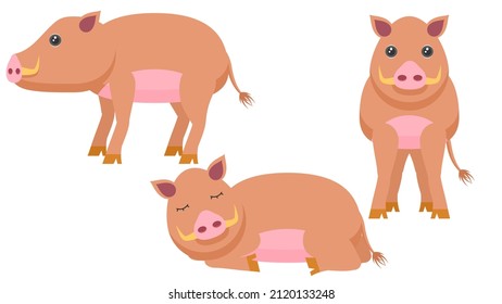 Set Abstract Collection Flat Cartoon Different Animal Boars Stand, Sleeping Vector Design Style Elements Fauna Wildlife