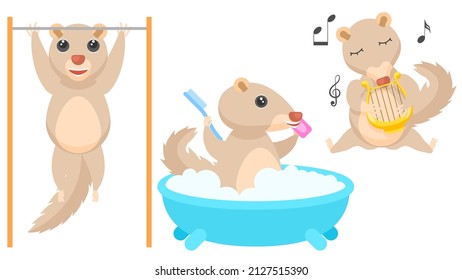 Set Abstract Collection Flat Cartoon Different Animal Tupaia Pulls Up On The Bar, Washes In The Bath, Plays Lyre Vector Design Style Elements Fauna Wildlife