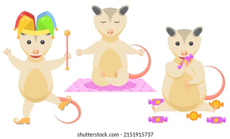 Set Abstract Collection Flat Cartoon Different Animal Opossum Jester In A Hat, Got Fat From Candy, Meditating On The Carpet Vector Design Style Elements Fauna Wildlife