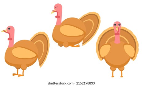 Set Abstract Collection Flat Cartoon Different Animal Birds Turkey Stand, Sleeping Vector Design Style Elements Fauna Wildlife