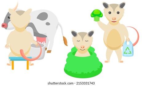 Set Abstract Collection Flat Cartoon Different Animal Opossum Milking A Cow, With Package And Eco Food, Sleeping Wrapped In Blanket Vector Design Style Elements Fauna Wildlife