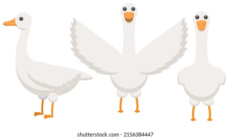 Colección Resumen Caricatura Plana Diferentes Aves Animales Goose, Geese, Stand, Se Pone Con Sus Alas Spread Vector Diseño Elementos Fauna Vida Silvestre