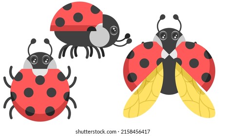 Set Abstract Collection Flat Cartoon Different Animal Insect Ladybug Stand, Fly Vector Design Style Elements Fauna Wildlife