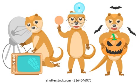 Set Abstract Collection Flat Cartoon Different Animal Otters With A Pumpkin And Bats Around, Adjusting An Old TV, Ophthalmologist With Scapula Vector Design Style Elements Fauna Wildlife