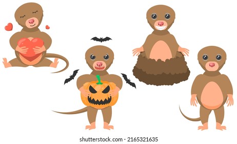 Set Abstract Collection Flat Cartoon Different Animal Mole, Stand, Hugs The Heart, Peeking Out Of The Ground, With A Pumpkin And Bats Around Vector Design Style Elements Fauna Wildlife
