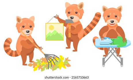 Set Abstract Collection Flat Cartoon Different Animal Red Pandas Picking Up Leaves With A Rake, Ironing Clothes, Hanging A Picture With A Hammer Vector Design Style Elements Fauna Wild