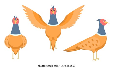 Set Abstract Collection Flat Cartoon Different Animal Birds Pheasants Stand, Flies Vector Design Style Elements Fauna Wildlife