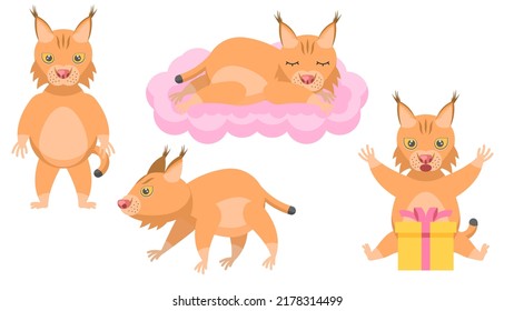 Set Abstract Collection Flat Cartoon Different Animal Lynx Stand, Walk, Surprised By The Gift, Sleeping On A Cloud Vector Design Style Elements Fauna Wildlife