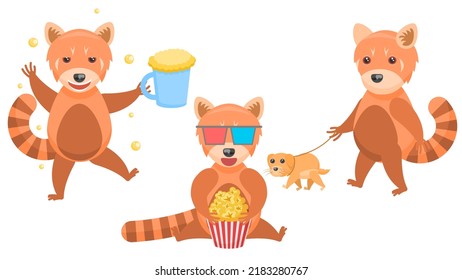 Set Abstract Collection Flat Cartoon Different Animal Red Pandas Watching A Movie With Popcorn, Drunk With A Mug Of Beer, Walking The Dog Vector Design Style Elements Fauna Wild