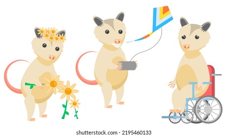 Set Abstract Collection Flat Cartoon Different Animal Opossum Picking Flowers, Wheelchair Disabled Vector Design Style Elements Fauna Wildlife