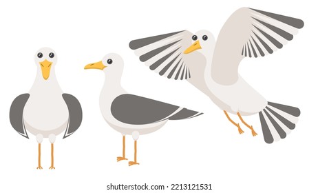 Set Abstract Collection Flat Cartoon Different Animal Birds Seagulls Stand, Flies Vector Design Style Elements Fauna Wildlife