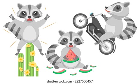 Set Abstract Collection Flat Cartoon Different Animal Raccoons  Sat On A Catus And Screams, Reared Up On A Motorcycle, Eats Watermelon, And Around The Peel Vector Design Style Elements Fauna Wildlife