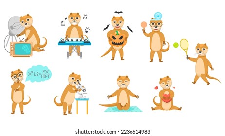 Set Abstract Collection Flat Cartoon Different Animal Otters Vector Design Style Elements Fauna Wildlife