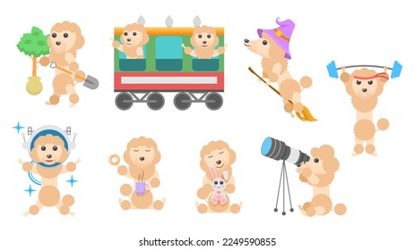 Set Abstract Collection Flat Cartoon Different Animal Pug Dogs Poodles Vector Design Style Elements Fauna Wildlife